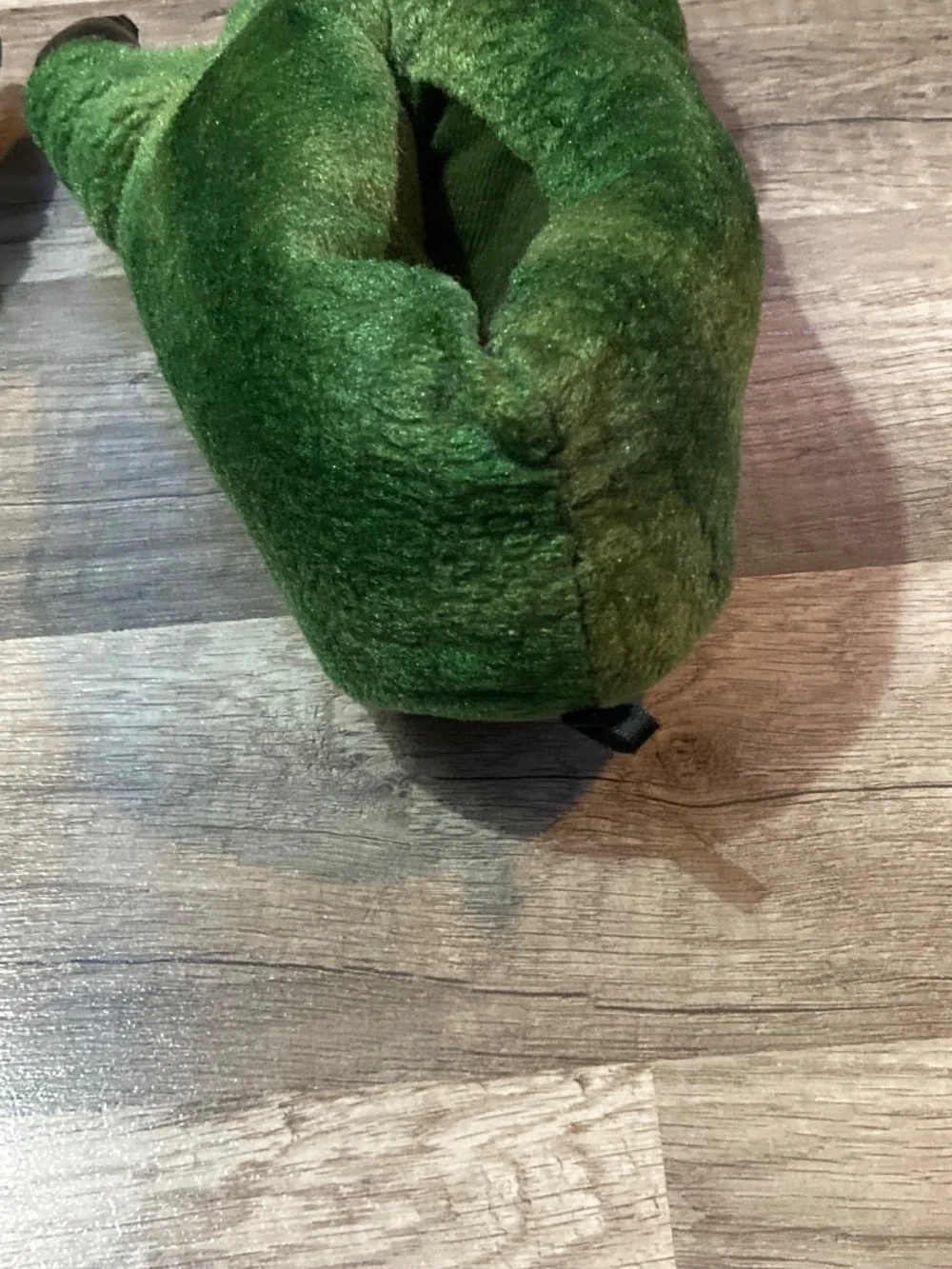 Dino slippers